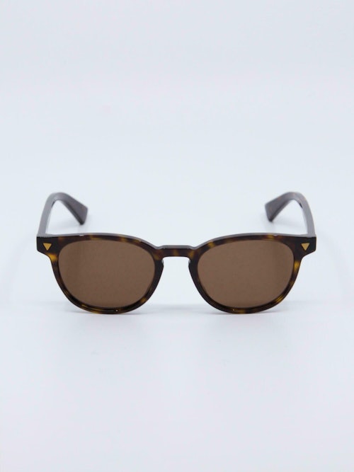 Klassisk, brun solbrille med brune solbrilleglass