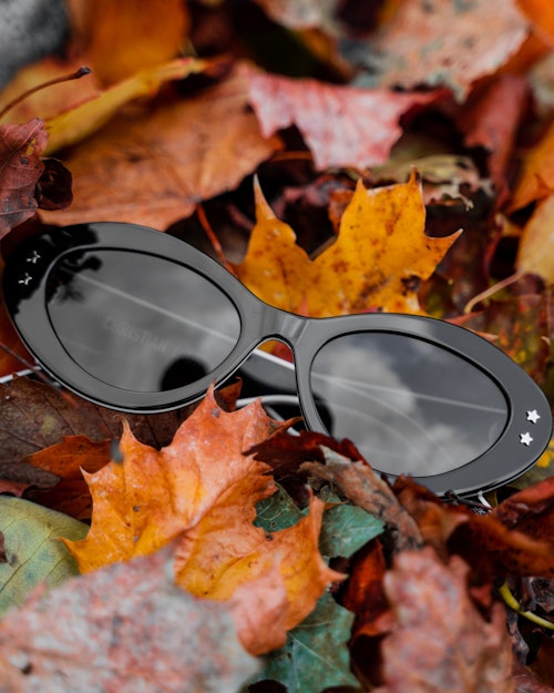 Sorte solbriller som ligger på høstblader
