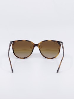 Havanafarget solbrille med klassisk form og brungraderte glass, bilde bakfra