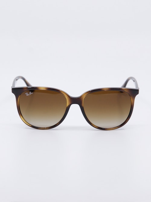 Havanafarget solbrille med klassisk form og brungraderte glass, bilde forfra