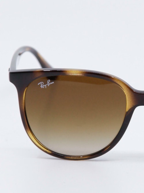 Havanafarget solbrille med klassisk form og brungraderte glass, bilde forfra nær